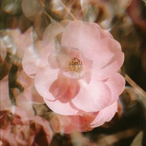 Meet your Posher, Beads